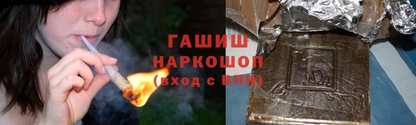 СК Бородино