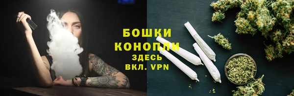 СК Бородино
