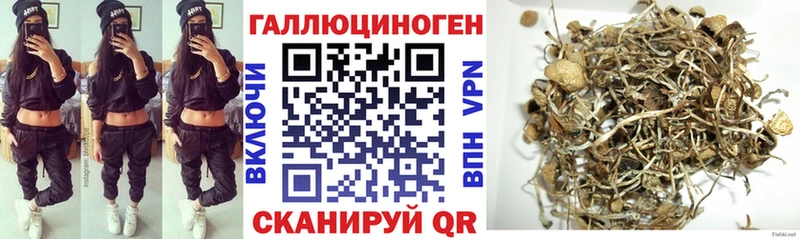 Купить где  Черепаново  Галлюциногенные грибы Cubensis 